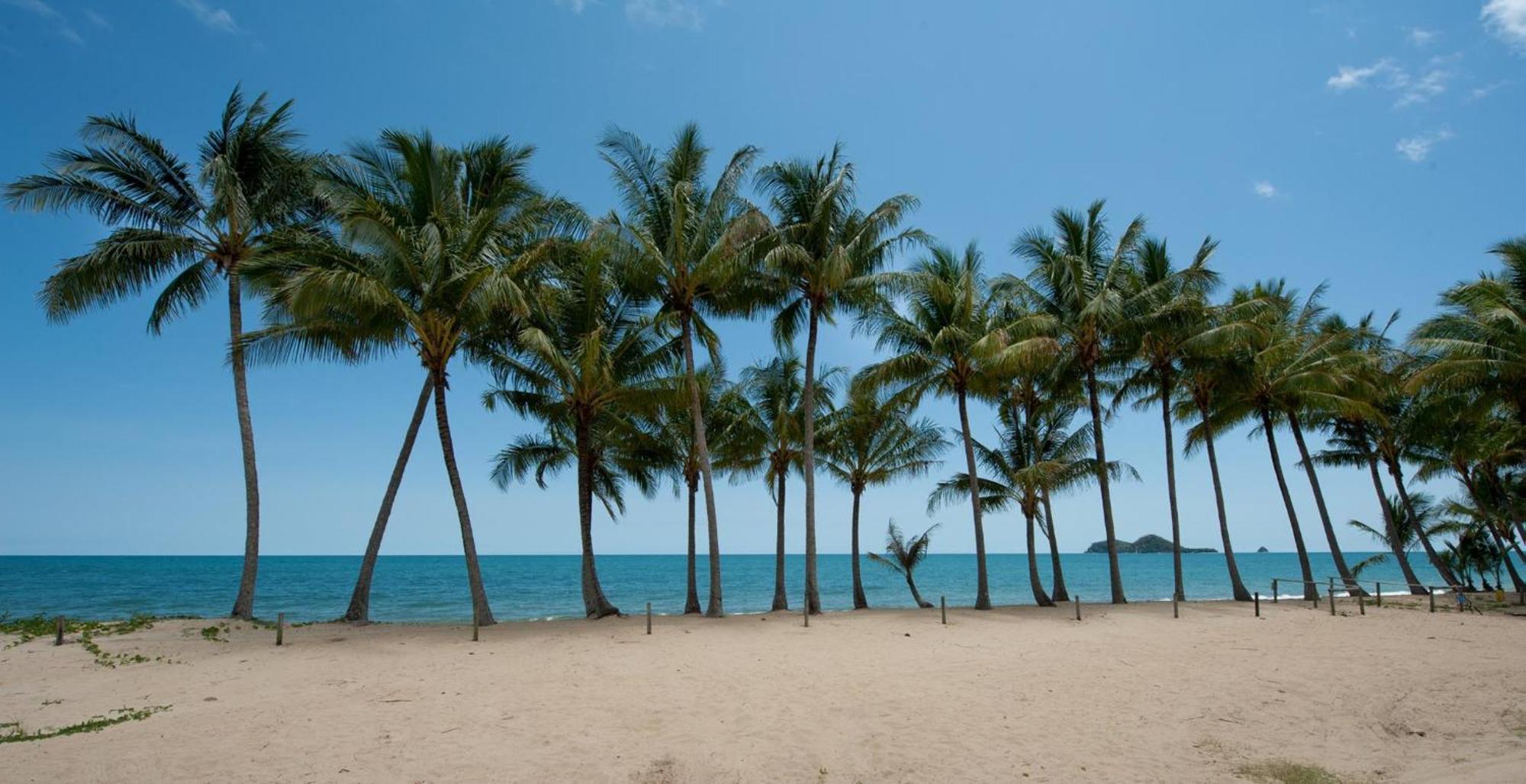 Ellis Beach Oceanfront Holiday Park Palm Cove Eksteriør bilde